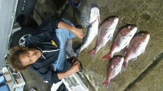 ディープ オーシャン 釣果