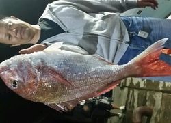 ディープ オーシャン 釣果