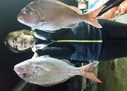 ディープ オーシャン 釣果