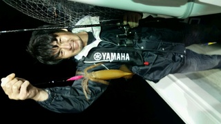 ディープ オーシャン 釣果