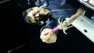 ディープ オーシャン 釣果