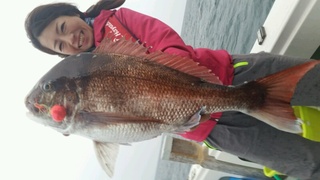 ディープ オーシャン 釣果