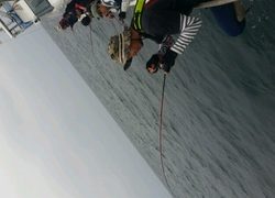 ディープ オーシャン 釣果