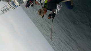 ディープ オーシャン 釣果