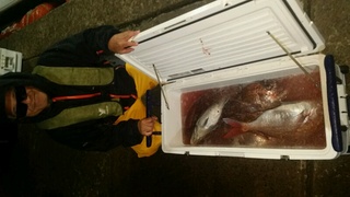 ディープ オーシャン 釣果