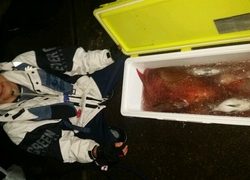 ディープ オーシャン 釣果