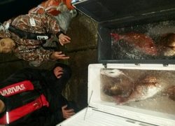 ディープ オーシャン 釣果