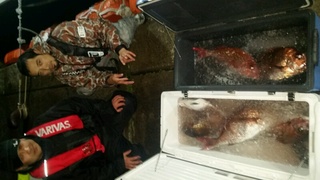 ディープ オーシャン 釣果