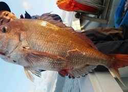 ディープ オーシャン 釣果