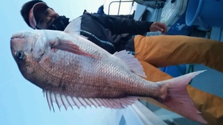 ディープ オーシャン 釣果