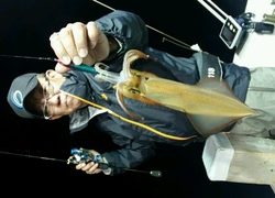 ディープ オーシャン 釣果