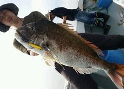 ディープ オーシャン 釣果