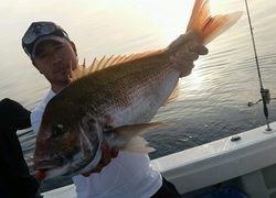 ディープ オーシャン 釣果