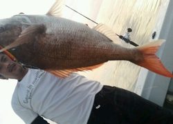 ディープ オーシャン 釣果