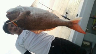 ディープ オーシャン 釣果