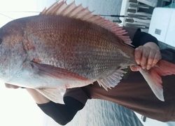 ディープ オーシャン 釣果