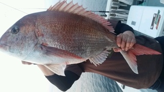 ディープ オーシャン 釣果