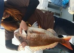 ディープ オーシャン 釣果