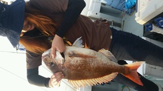 ディープ オーシャン 釣果