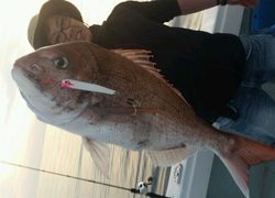 ディープ オーシャン 釣果