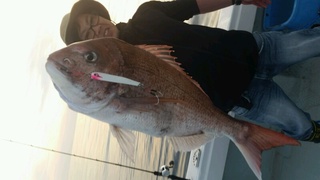 ディープ オーシャン 釣果