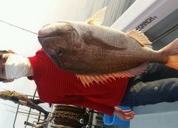 ディープ オーシャン 釣果