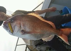 ディープ オーシャン 釣果