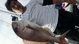 ディープ オーシャン 釣果