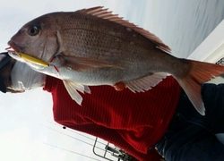 ディープ オーシャン 釣果