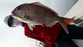 ディープ オーシャン 釣果