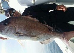 ディープ オーシャン 釣果