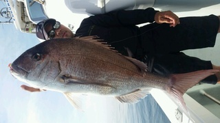 ディープ オーシャン 釣果