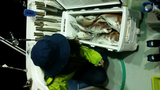 ディープ オーシャン 釣果