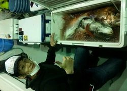 ディープ オーシャン 釣果