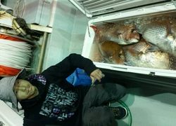 ディープ オーシャン 釣果