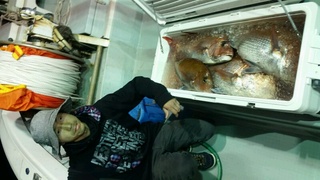 ディープ オーシャン 釣果