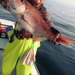 遊漁船ブルーウッズ 釣果