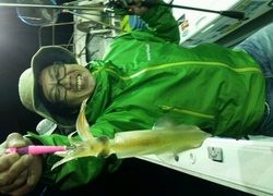 ディープ オーシャン 釣果