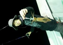 ディープ オーシャン 釣果