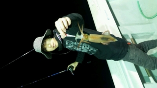 ディープ オーシャン 釣果