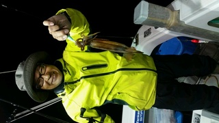 ディープ オーシャン 釣果