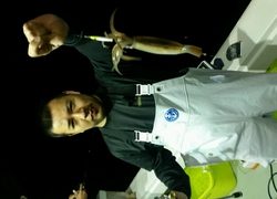 ディープ オーシャン 釣果