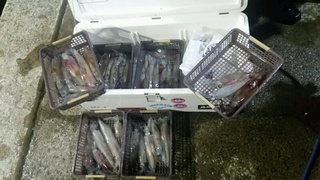 ディープ オーシャン 釣果