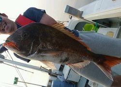 ディープ オーシャン 釣果