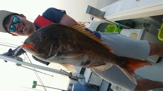 ディープ オーシャン 釣果