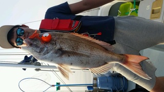 ディープ オーシャン 釣果