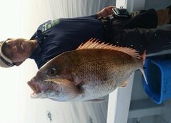 ディープ オーシャン 釣果