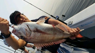 ディープ オーシャン 釣果