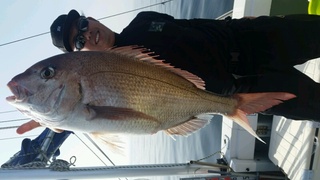 ディープ オーシャン 釣果