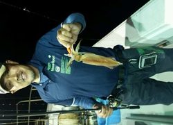 ディープ オーシャン 釣果